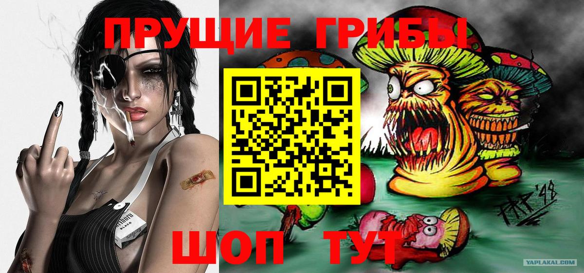 Галлюциногенные грибы Psilocybine cubensis  Вход с VPN  Керчь 