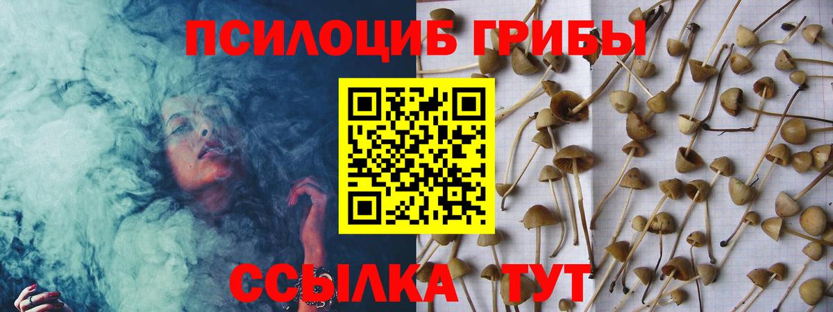 Галлюциногенные грибы MAGIC MUSHROOMS Керчь