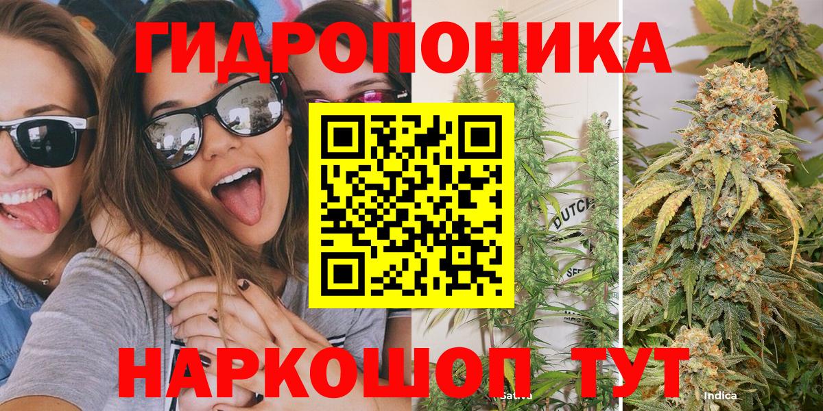 Канабис гибрид Керчь